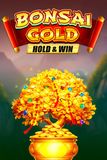 Bonsai Gold Hold & Win
